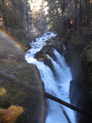 Explore Sol Duc & Marymere: Olympic National Park's Iconic Falls